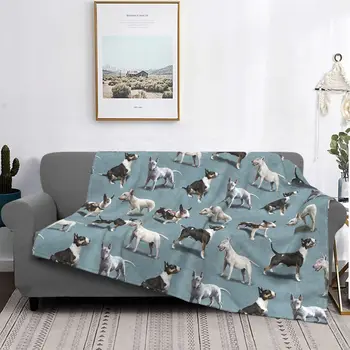 Bull Terrier köpek battaniyesi Polar Harika Nefes Atmak Battaniye Ev Yaz için